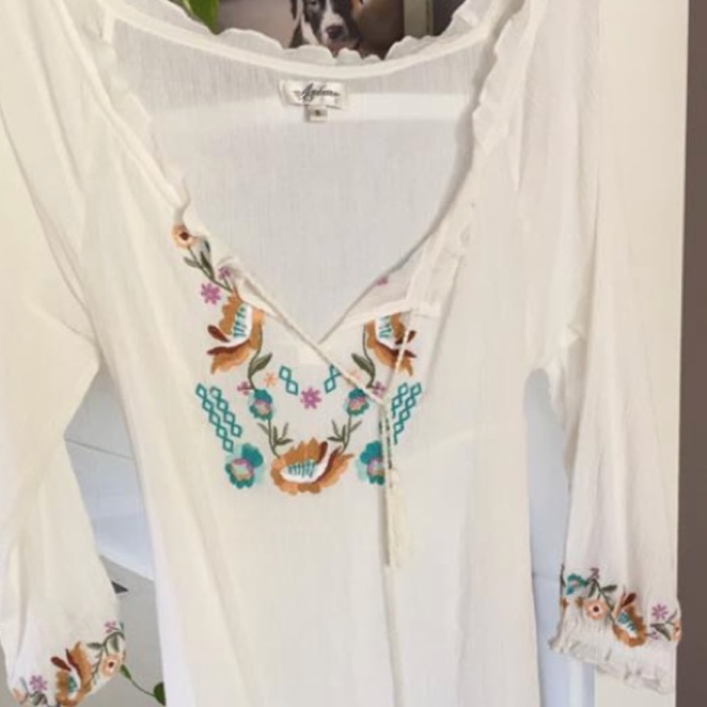 Arnhem Stevie embroidered dress tunic